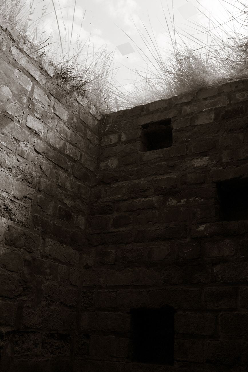 _MG_8146 CROP ZW DUOTOON  